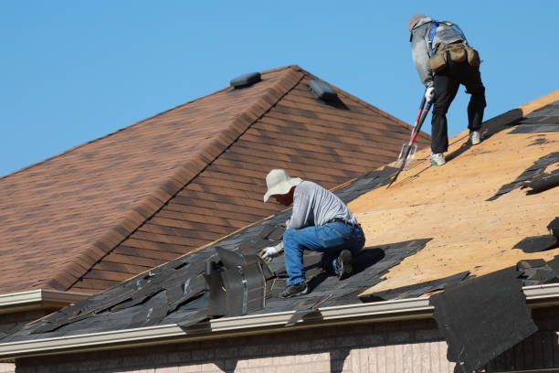 Best Roof Installation  in Ely, MN
