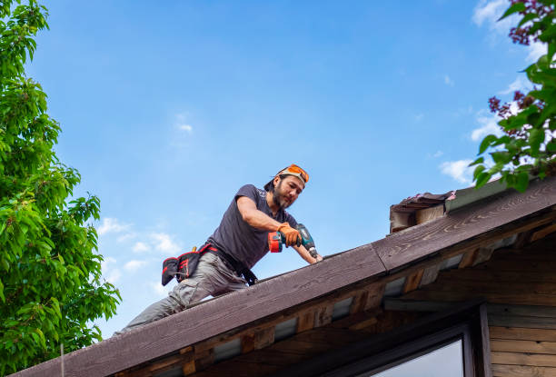 Best Tile Roofing Installation  in Ely, MN