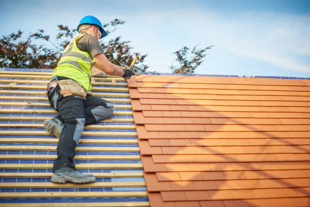 Best Metal Roofing Installation  in Ely, MN
