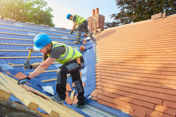 Ely, MN Roofing services Company