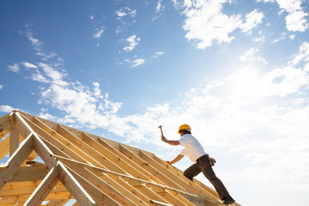 Best Emergency Roof Repair Services  in Ely, MN